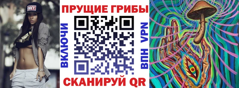 darknet состав  MEGA онион  Псилоцибиновые грибы мицелий  Нижнекамск  даркнет сайт 
