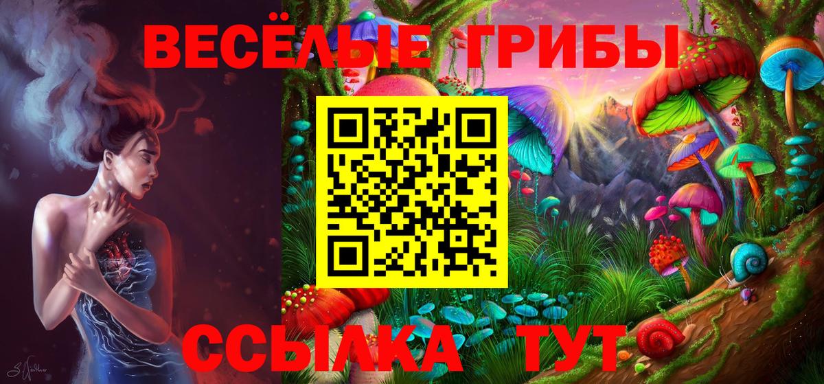 Псилоцибиновые грибы Magic Shrooms  купить наркоту  Нижнекамск  Вход с VPN 