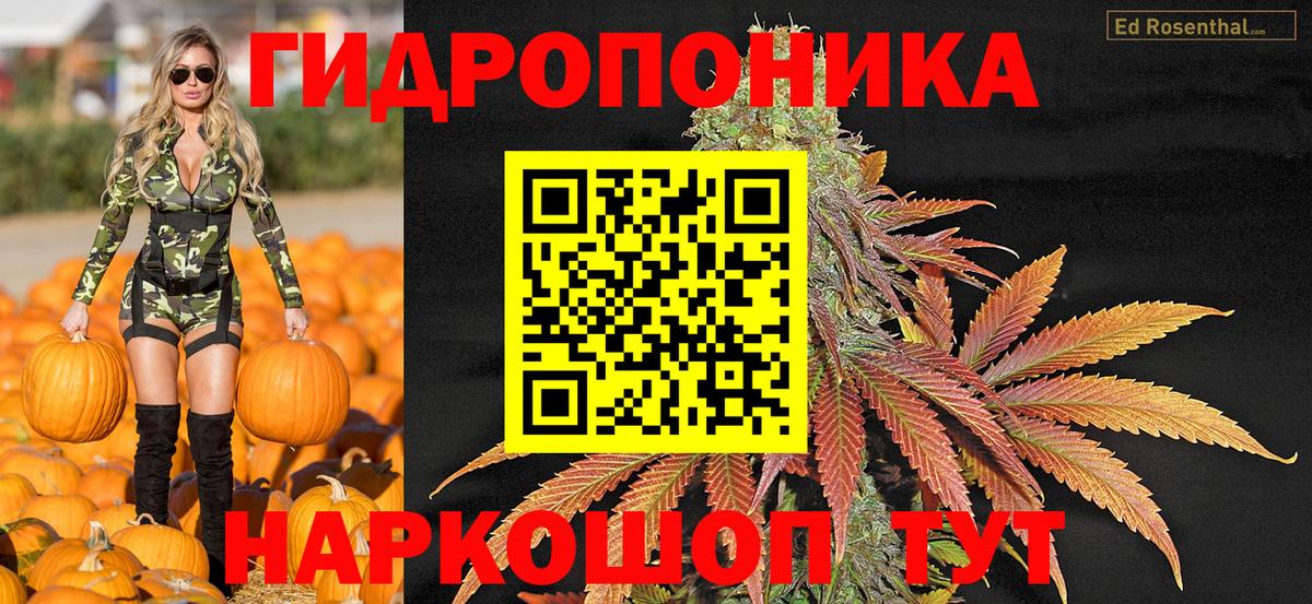 Канабис сатива Нижнекамск